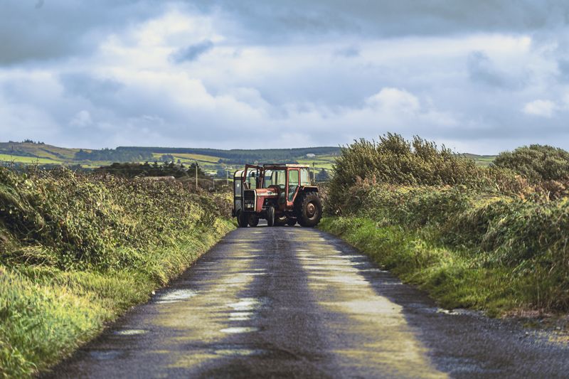 Red tractor on a wet country road lined with tall grass
